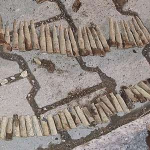 Muniție veche din al Doilea Război Mondial, descoperită la Izvoarele Sucevei