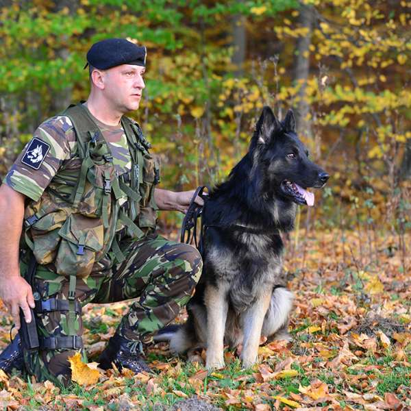 Border traffic on 29th of October, 2023