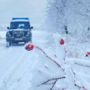 Piloniştii Poliţiei de Frontieră - excelenţa IT&C la înălţime
