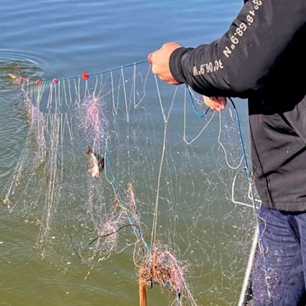 620 metri de plase mono-filament cu 55 kilograme de pește scoase din lacul Sinoe de polițiștii de frontieră