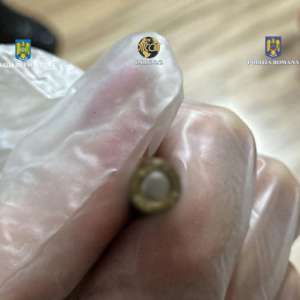 Reţea de trafic de migranţi de origine vietnameză, destructurată cu suportul EUROPOL