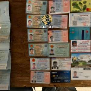 Reţea de trafic de migranţi de origine vietnameză, destructurată cu suportul EUROPOL