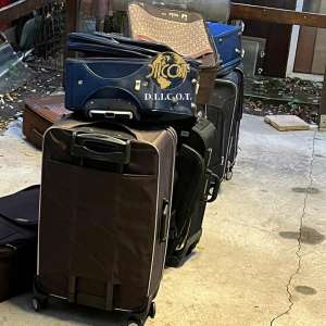 Reţea de trafic de migranţi de origine vietnameză, destructurată cu suportul EUROPOL