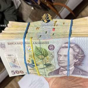 Reţea de trafic de migranţi de origine vietnameză, destructurată cu suportul EUROPOL