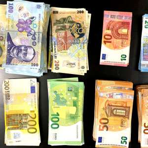 Reţea de trafic de migranţi de origine vietnameză, destructurată cu suportul EUROPOL