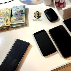 Reţea de trafic de migranţi de origine vietnameză, destructurată cu suportul EUROPOL