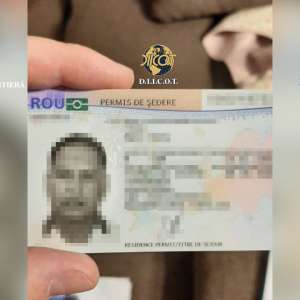 Reţea de trafic de migranţi de origine vietnameză, destructurată cu suportul EUROPOL