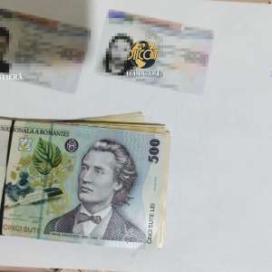 Reţea de trafic de migranţi de origine vietnameză, destructurată cu suportul EUROPOL