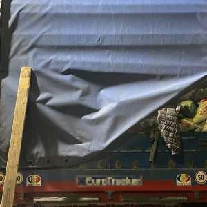 Deşeuri din Olanda oprite la Borș II. Peste 15 tone de haine second-hand