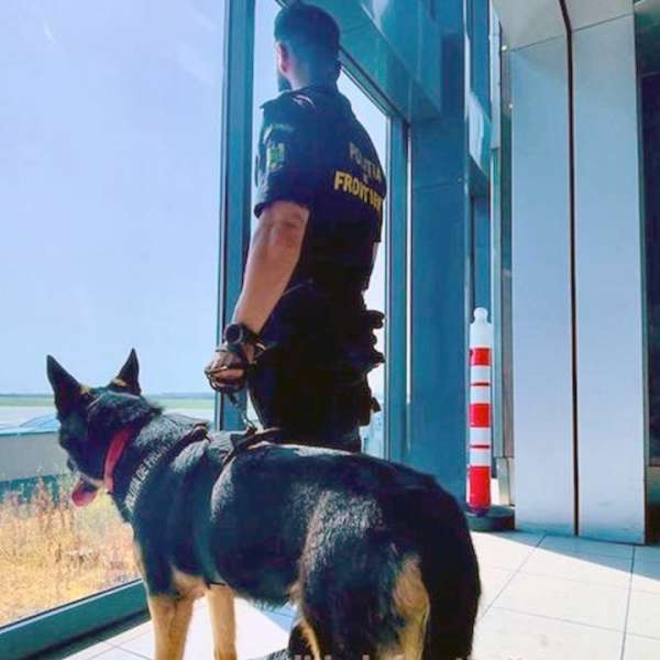 Condamnare cu executare pentru un bărbat care a provocat scandal la bordul unei aeronave