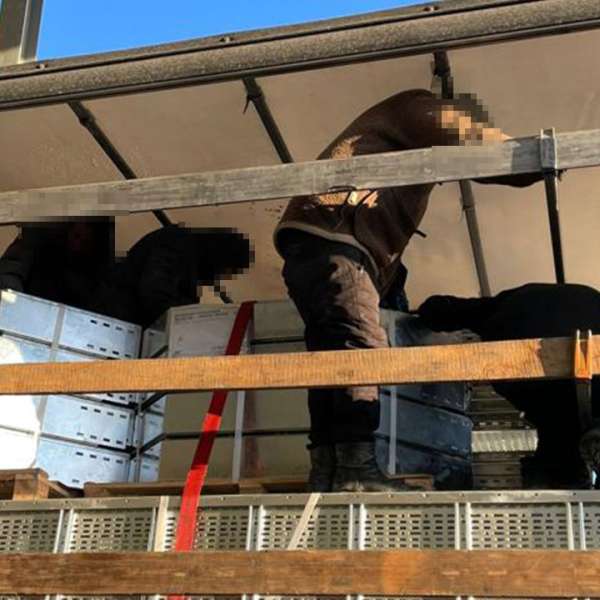 13 cetățeni străini ascunși în două automarfare la Borș II și Nădlac II