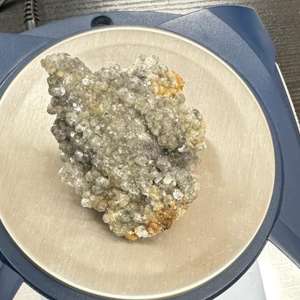 Aeroport Cluj Napoca - 45 de flori de mină posibil din patrimoniul naţional, găsite în bagajul de cală al unei femei, la ieşirea din ţară