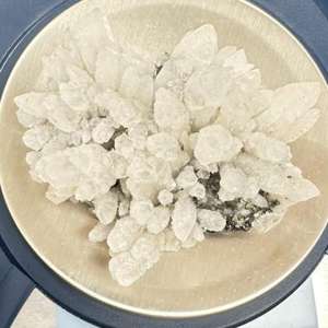 Aeroport Cluj Napoca - 45 de flori de mină posibil din patrimoniul naţional, găsite în bagajul de cală al unei femei, la ieşirea din ţară