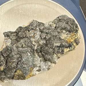 Aeroport Cluj Napoca - 45 de flori de mină posibil din patrimoniul naţional, găsite în bagajul de cală al unei femei, la ieşirea din ţară