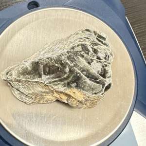 Aeroport Cluj Napoca - 45 de flori de mină posibil din patrimoniul naţional, găsite în bagajul de cală al unei femei, la ieşirea din ţară