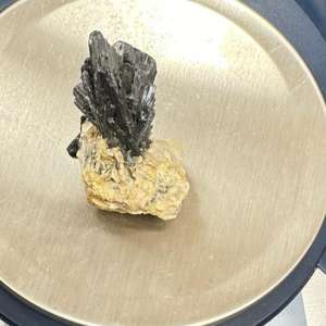 Aeroport Cluj Napoca - 45 de flori de mină posibil din patrimoniul naţional, găsite în bagajul de cală al unei femei, la ieşirea din ţară