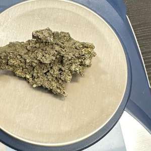 Aeroport Cluj Napoca - 45 de flori de mină posibil din patrimoniul naţional, găsite în bagajul de cală al unei femei, la ieşirea din ţară