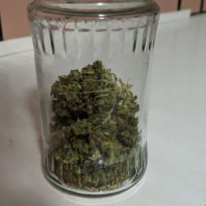 Patru persoane arestate preventiv, în urma unor percheziţii în judeţul Tulcea la o grupare specializată în traficul de droguri de risc şi de mare risc