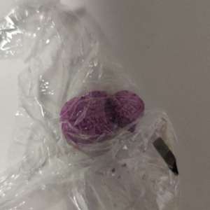 Patru persoane arestate preventiv, în urma unor percheziţii în judeţul Tulcea la o grupare specializată în traficul de droguri de risc şi de mare risc