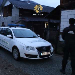 Maramureș/Aproximativ 2 kilograme de droguri găsite ca urmare a perchezițiilor efectuate într-un dosar penal de trafic de droguri de mare risc