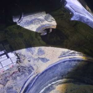 Ţigări de contrabandă ascunse în rezervor, descoperite la trecerea frontierei