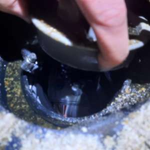 Ţigări de contrabandă ascunse în rezervor, descoperite la trecerea frontierei