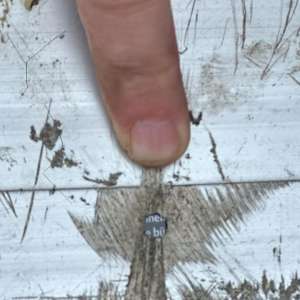 5.400 de  țigarete, ascunse în barele prelatei unui ansamblu rutier, descoperite la PTF Turnu Măgurele