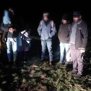 Nouă cetăţeni străini, depistați în tentativă de trecere ilegală a frontierei