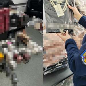 Peste 2.800 de bunuri susceptibile a fi contrafăcute, descoperite la nivelul ITPF Giurgiu