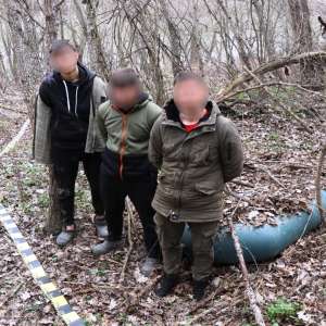 Cetăţeni străini depistaţi de poliţiştii de frontieră în cooperare cu omologii din Republica Moldova