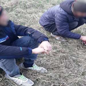 Cetățeni din Republica Moldova opriți la frontieră, după ce au încercat să intre ilegal în România