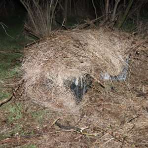 Țigări de contrabandă, în valoare totală de peste 60.200 lei, descoperite în vegetație