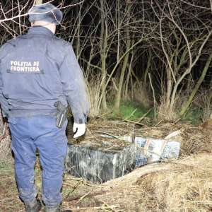 Țigări de contrabandă, în valoare totală de peste 60.200 lei, descoperite în vegetație