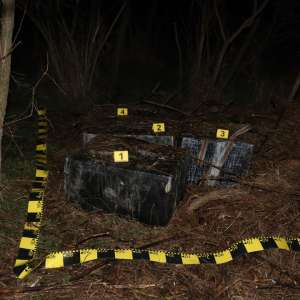 Țigări de contrabandă, în valoare totală de peste 60.200 lei, descoperite în vegetație