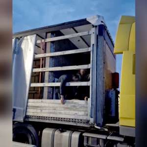 24 de cetăţeni străini,  depistați ascunși în două TIR-uri la Nădlac II