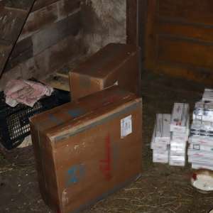 Doi suceveni cercetați pentru contrabandă și 40.000 de pachete de țigări confiscate în ultimele 48 de ore