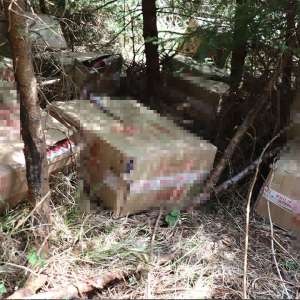 Doi suceveni cercetați pentru contrabandă și 40.000 de pachete de țigări confiscate în ultimele 48 de ore