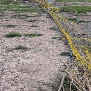 Polițiștii de frontieră curăță Prutul de plase monofilament interzise de lege