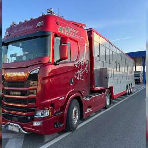 Aproximativ 16.000 țigarete descoperite ascunse în pereții laterali ai unui autocamion pentru transport animale, în PTF Calafat