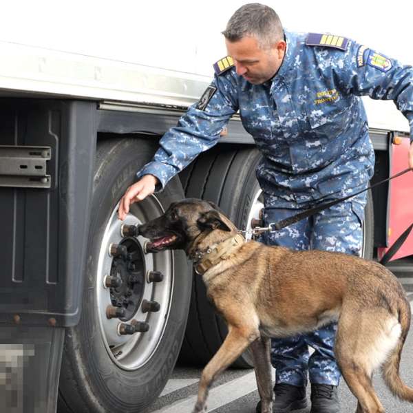 Traficul la frontieră în data de 24 aprilie 2024