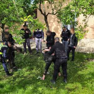 Doi bărbați, călăuzele a nouă migranți, descoperiți ascunși în podul unei case după ce au încercat să fugă de polițiștii de frontieră