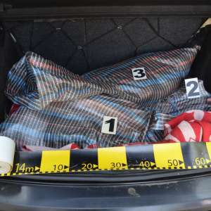 Pește ocrotit de lege dar nu și de către un cetățean din municipiul Galați