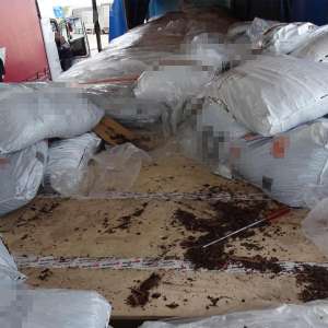 62 cetățeni sirieni ascunși în două mijloace de transport, descoperiți în PTF Calafat