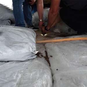 62 cetățeni sirieni ascunși în două mijloace de transport, descoperiți în PTF Calafat