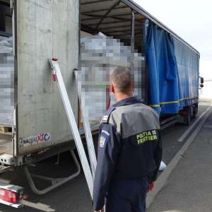 62 cetățeni sirieni ascunși în două mijloace de transport, descoperiți în PTF Calafat