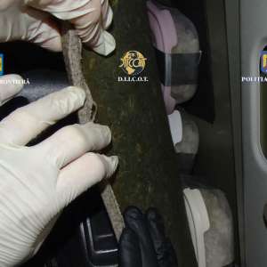 Șofer bulgar arestat 30 zile pentru că a încercat să transporte  prin PTF Calafat droguri în valoare de opt milioane de lei