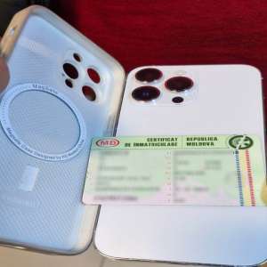 Document fals ascuns în husa telefonului