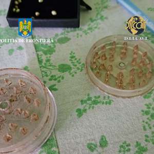 Percheziții în județul Tulcea într-un dosar de comercializare canabis către minori