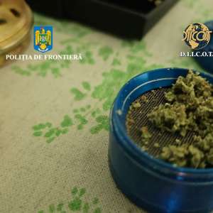 Percheziții în județul Tulcea într-un dosar de comercializare canabis către minori
