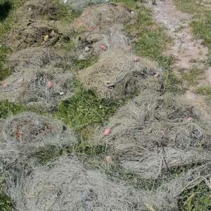 Activități de prevenire a braconajului piscicol